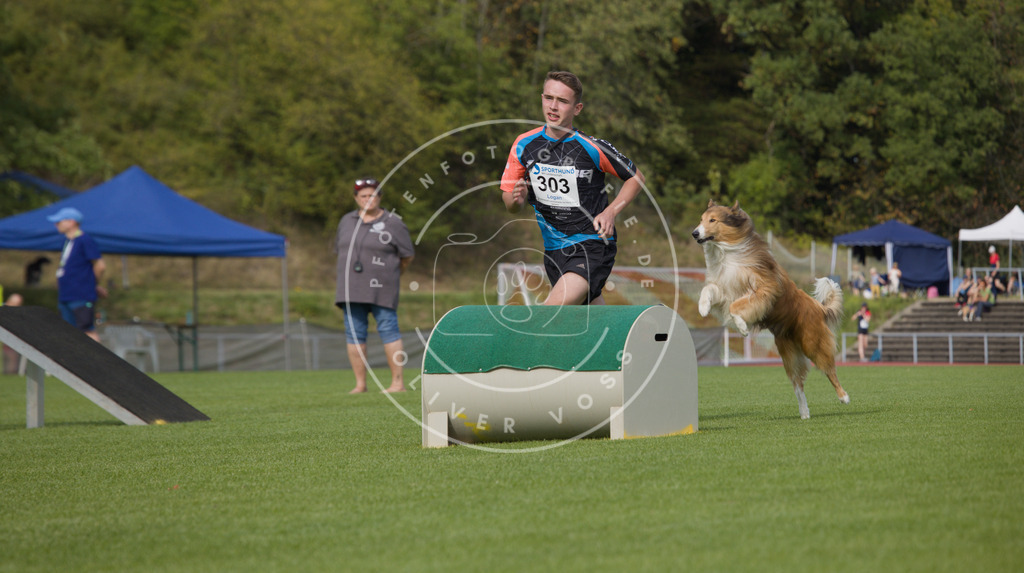 0L8A3531 | Hundefotografie, Tierfotograf, Pfotenfotografie, Fotoshooting Hund, Hunde Portrait, Hundesport, Hundeportraits, Heideshooting, Hunde, Sportfotograf, Hundefotograf, Turnierhundsport, THS,  - Realisiert mit Pictrs.com