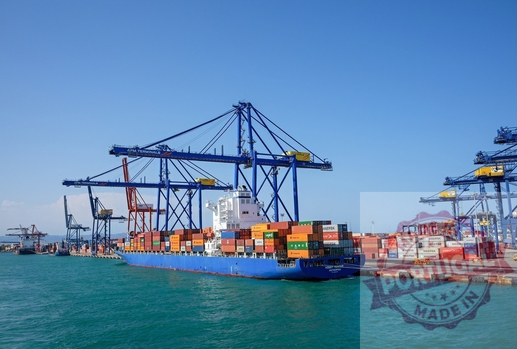 Container ship unloading cargo at industrial port terminal | Container ship docked at an APM Terminals port, cranes unloading cargo onto the dock - Realized with Pictrs.com