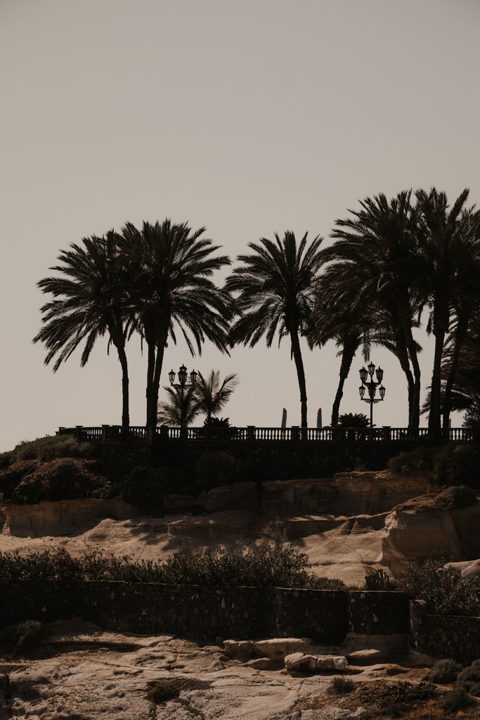 Teneriffa_by Leevke Draack_26 | Du suchst natürliche und atmosphärische Prints oder Leinwanddrucke? In diesem Shop gibt es alles, nur kein Mainstream. - Realisiert mit Pictrs.com