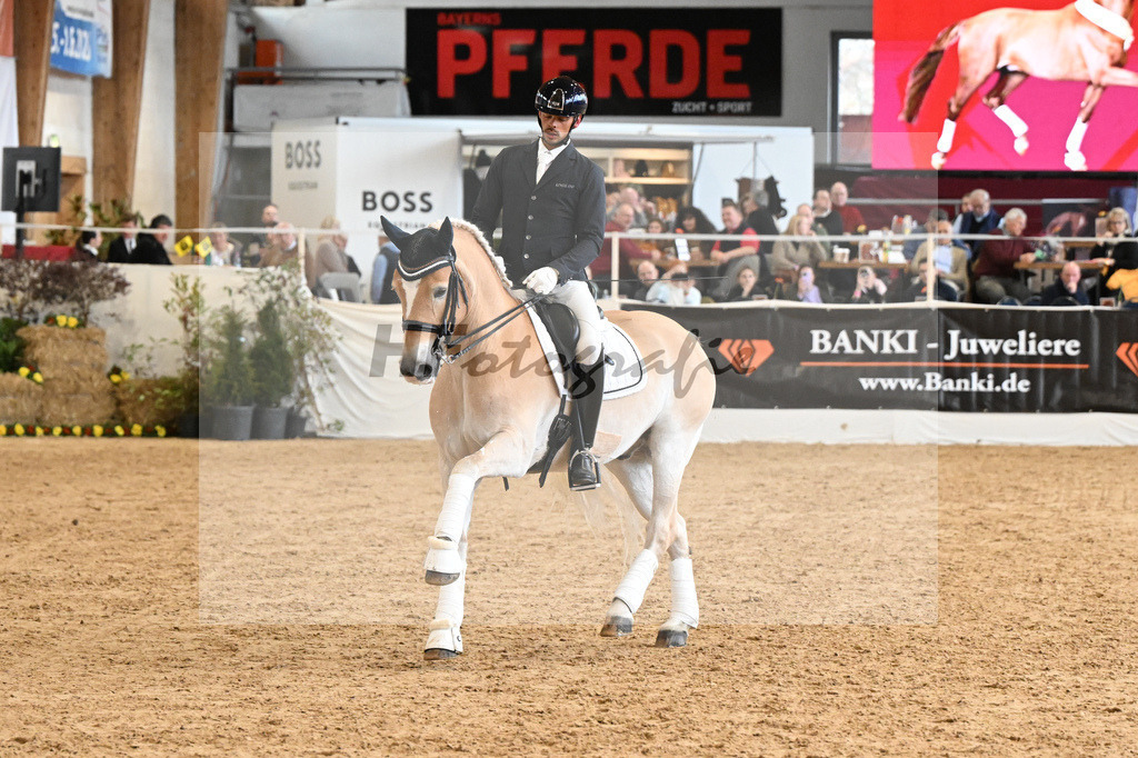 Schauprogramm Haflinger_DSP Amiro_2251556 | hf-fotografie - Realisiert mit Pictrs.com