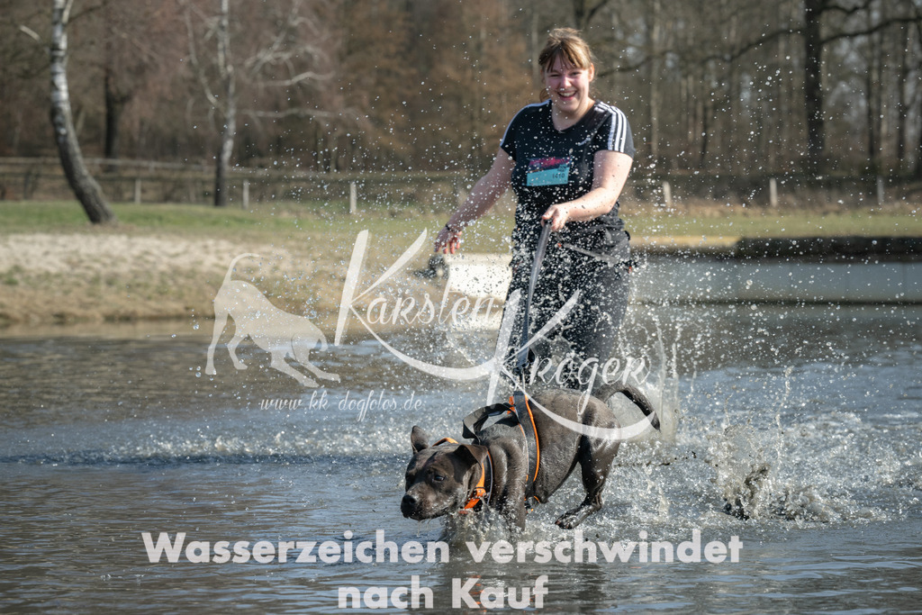 1309_ZZ94992 | kk-dogfotos