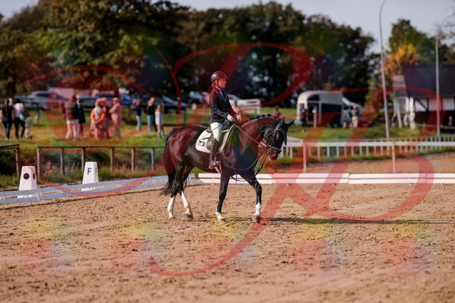 2026_10_03_Siefer-Hof_121534_Z81_17053846 | Professionelle Reitsport-, Turnier- und Eventfotografie von Robert Broda. Galerien mit ausgewählten und bearbeiteten Bildern direkt online ansehen und bestellen.