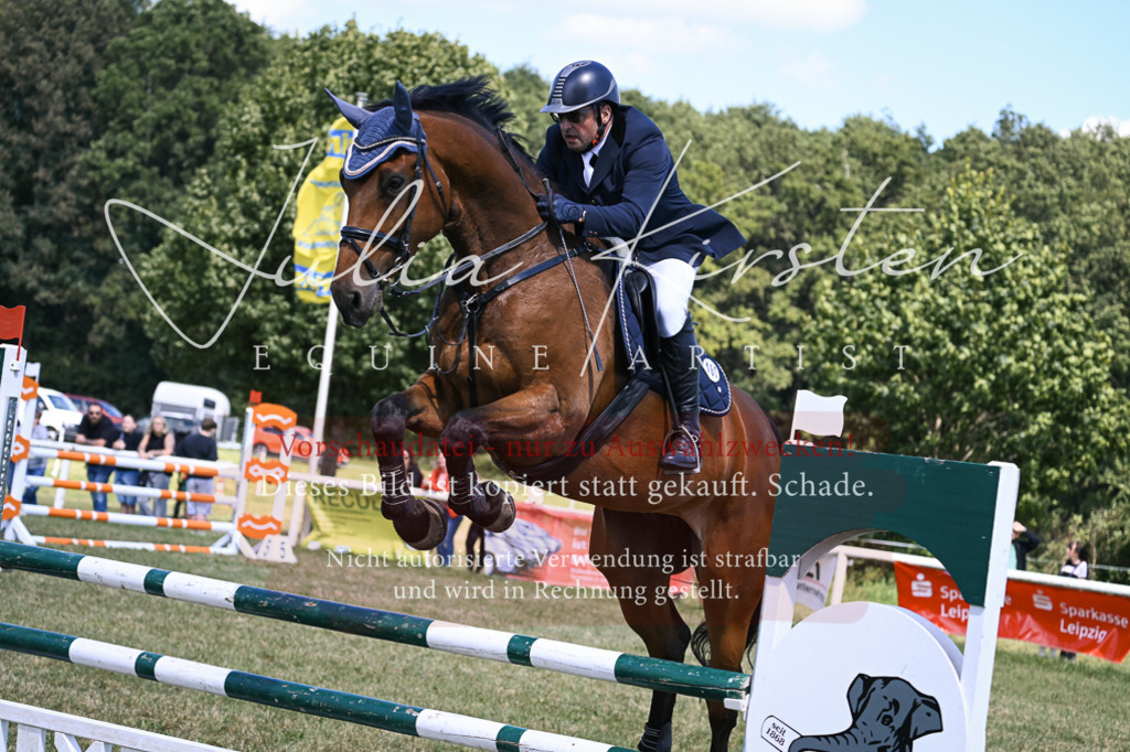 DSC_0203 | Pferde- und Turnierfotografie in Westsachsen. Pferdeportraits, Auftragszeichnungen und intuitive Kunst.