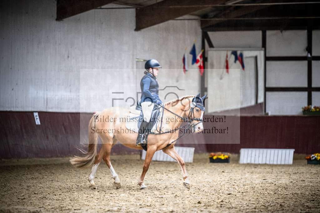 DOS_1325 | Reitturnier Lüdinghausen - Realisiert mit Pictrs.com