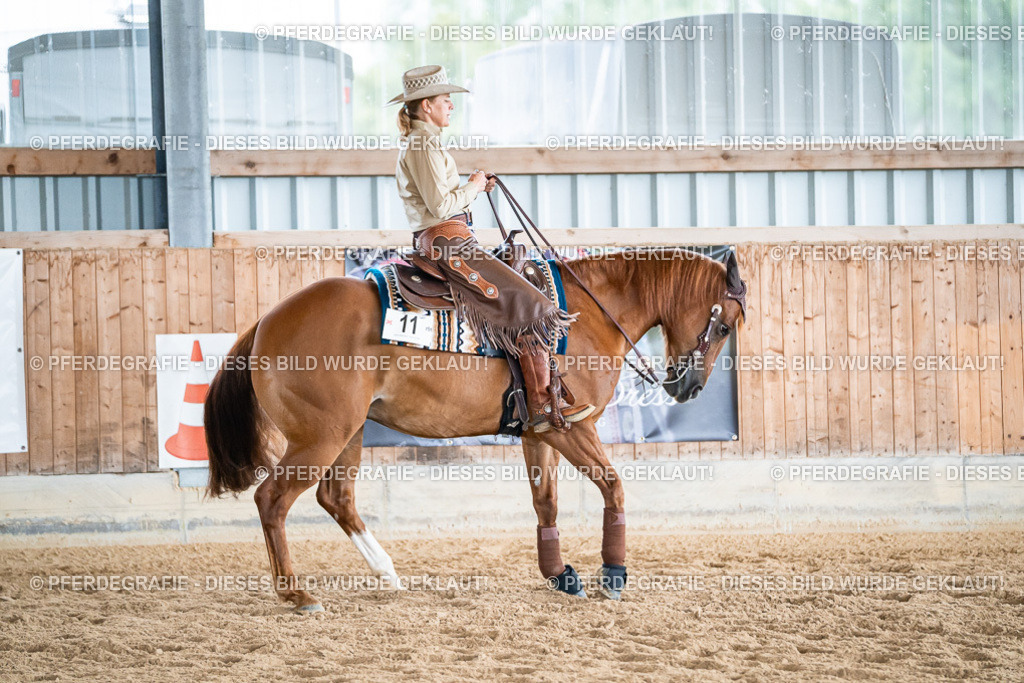 DSC07465 | Pferdegrafie