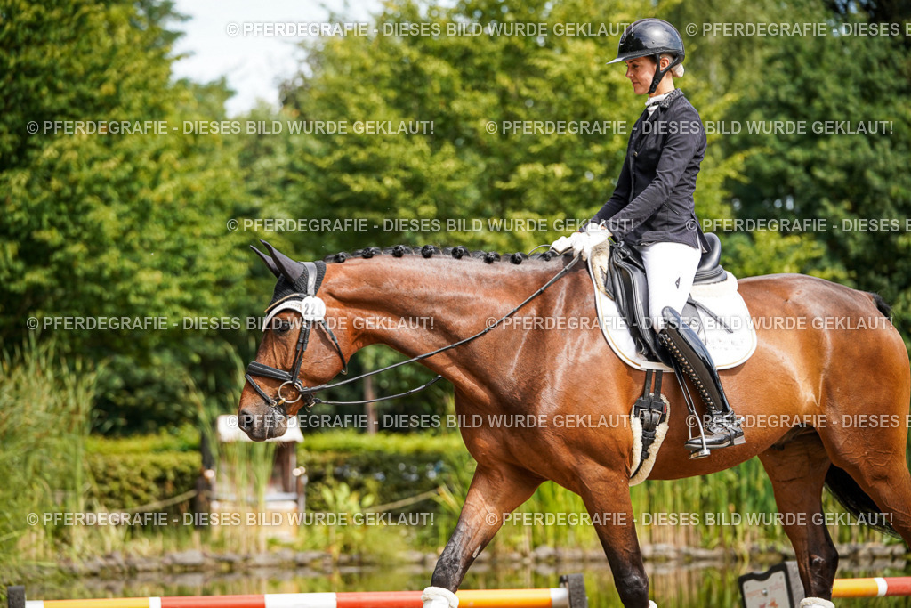 DSC07908 | Pferdegrafie