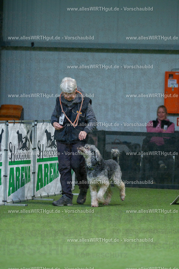 7R501244 | Professionelle Tierfotografie in Mönchengladbach von Daniel Wirth (allesWIRTHgut). Liebevolle & natürliche Bilder von Hunden & Katzen für unvergessliche Erinnerungen.