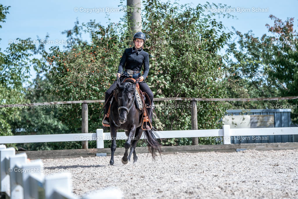 HOB00940 | BS-foto