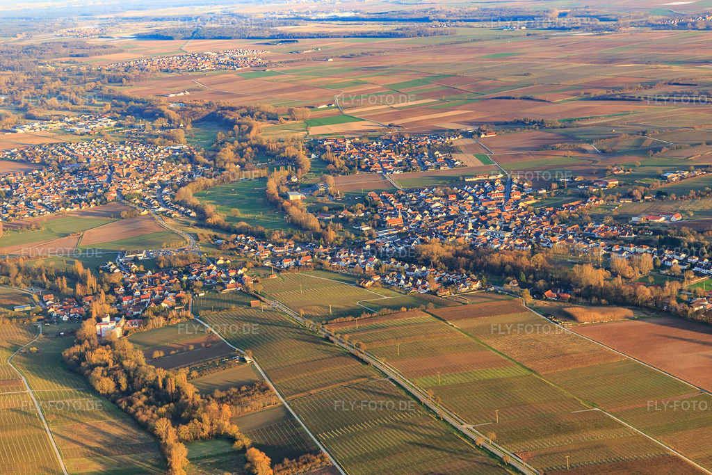 Luftbild: Ortsansicht von Westen im Ortsteil Billigheim in Billigheim-Ingenheim im Bundesland Rheinland-Pfalz in Deutschland. Foto: IMG_097421.jpg vom 10.03.2017 durch Werner Riehm/FLY-FOTO.de