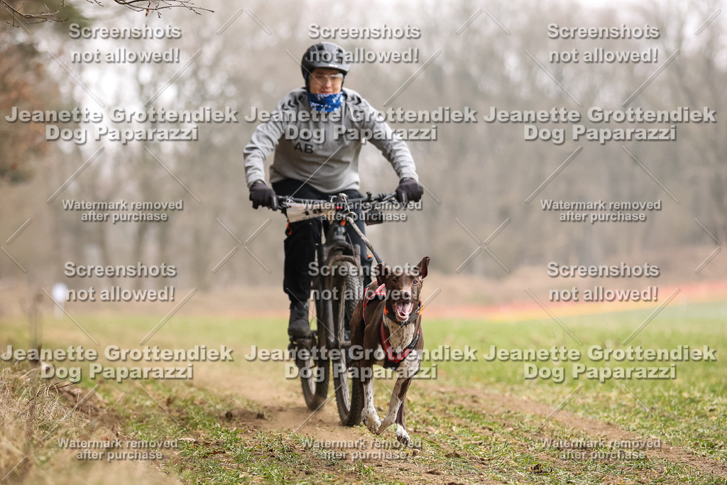 Dog Paparazzi - Plate 2026-59 | Dog Paparazzi Jeanette Grottendiek Fotografie & Videografie - Realisiert mit Pictrs.com