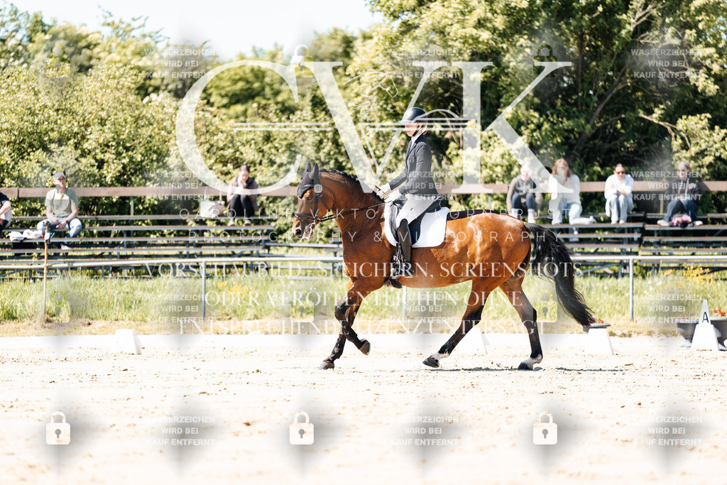 CK905190 | Turnierfotografie Pferdefotografie Trier Rheinland-Pfalz Pferdesport Reitsport Tierfotografie Sportfotografie Pferdevideo Pferdevideografie Equestrianvideography equestrianphotography  - Realisiert mit Pictrs.com