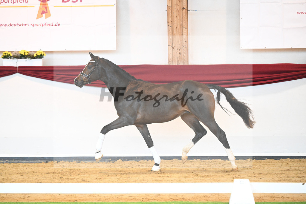 Kat-Nr. 31 v. Ferrantino_Lehner_66221842 | hf-fotografie - Realisiert mit Pictrs.com