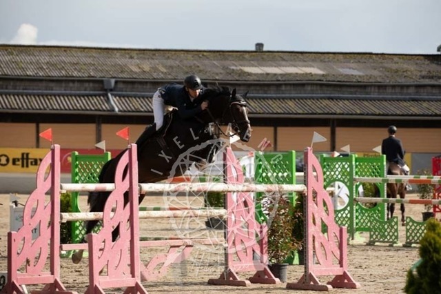 2B4A3656 | pixelfaenger - Realisiert mit Pictrs.com