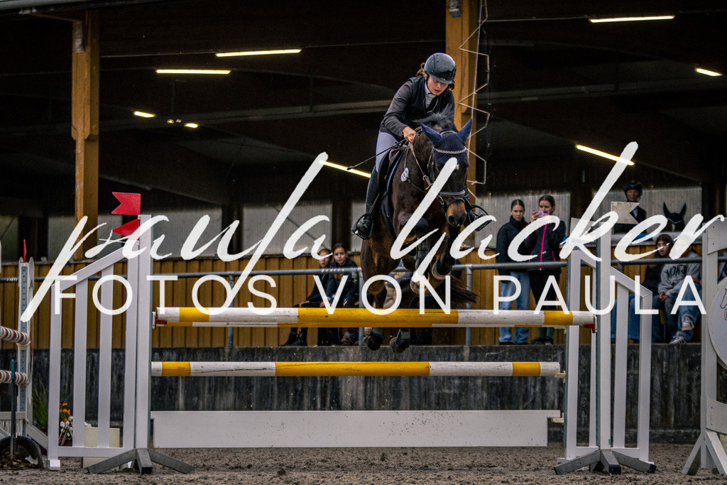 IMG_6292 | Erleben Sie dynamische Sport- und emotionale Tierfotografie in Süddeutschland mit Fotos von Paula. Spezialisiert auf Pferde- und Hundefotografie sowie Sportevents. Kontaktieren Sie mich für einzigartige und ausdrucksstarke Bilder Ihrer besonderen Momente. - Realisiert mit Pictrs.com