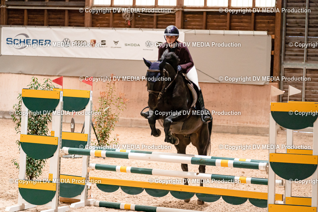 Springen Tag 1-228 | dv-media-shop - Realisiert mit Pictrs.com