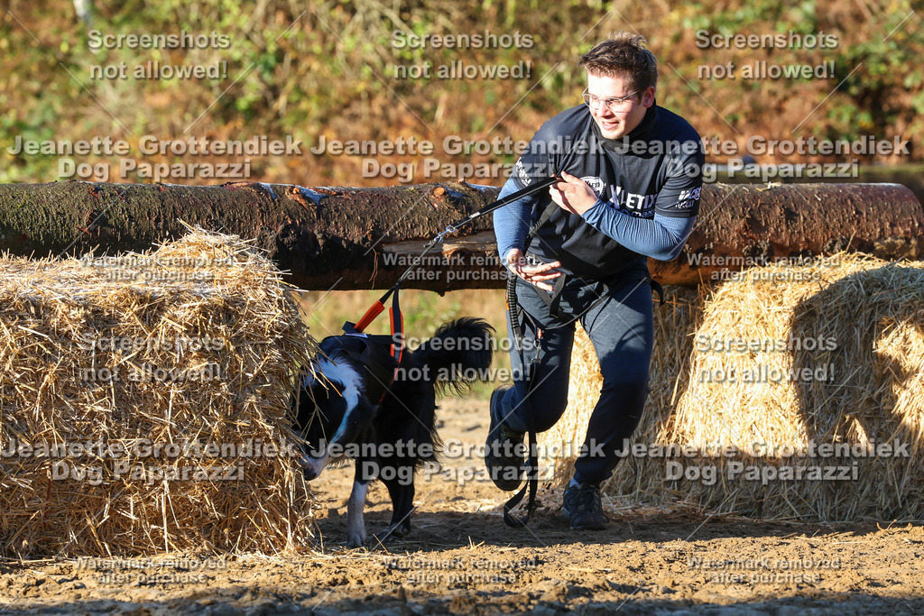 Dog Paparazzi - Strongdog 10-25-955 | Dog Paparazzi Jeanette Grottendiek Fotografie & Videografie - Realisiert mit Pictrs.com