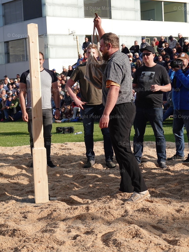 DSC05637 | Schwingen - Realisiert mit Pictrs.com