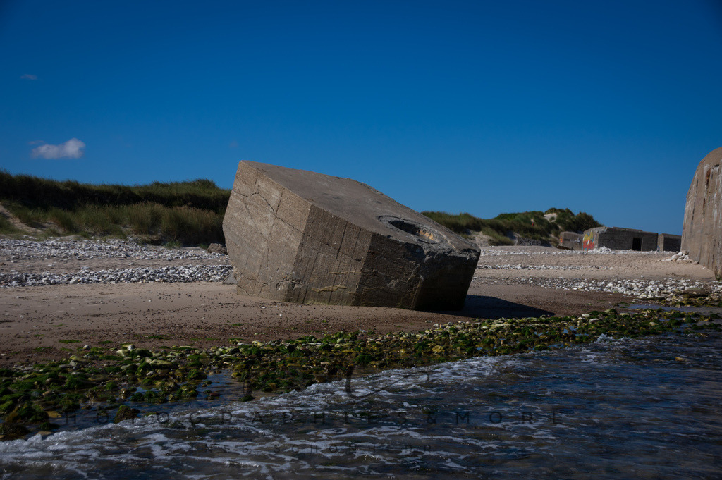 _Sommer2022-0539 | Photographies and more - Realisiert mit Pictrs.com