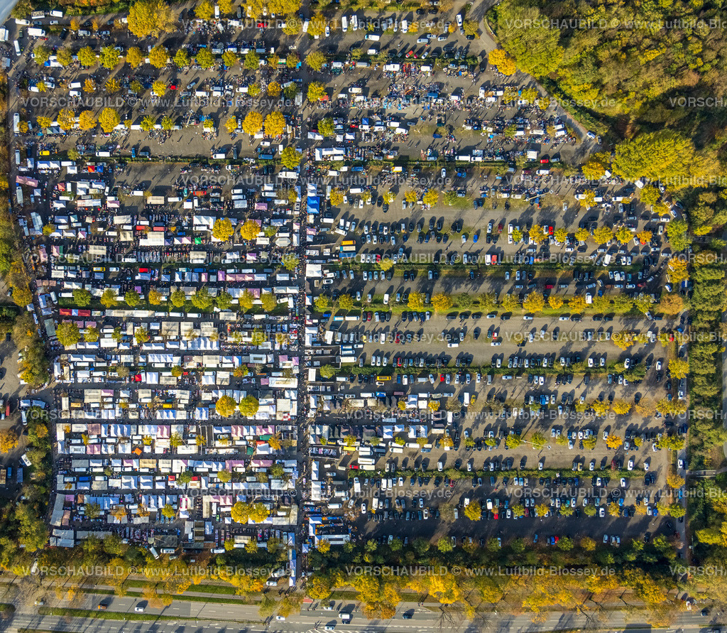 Gelsenkirchen221102174noerdlich | Luftbild, Gigantmarkt Gelsenkirchen, Flohmarkt, Willy-Brandt-Allee, Erle, Gelsenkirchen, Ruhrgebiet, Nordrhein-Westfalen, Deutschland