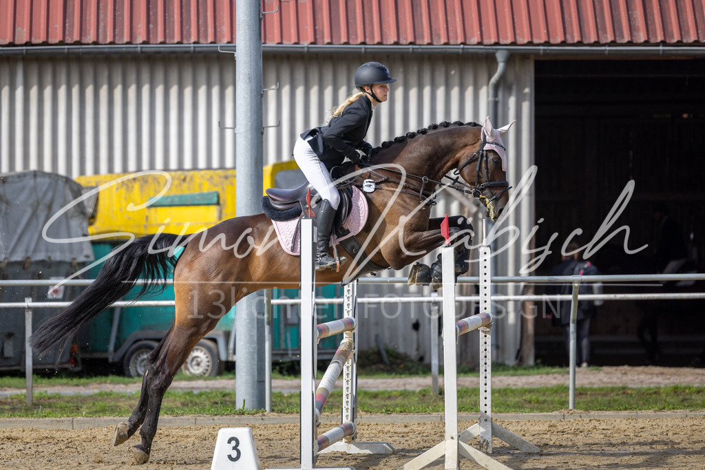 20260905-_3LI7145 | Tierfotografie Pferde, Hunde, Katzen, Haustiere.
Turnierfotografie Reitturniere, Reiten, Springreiten, Dressur in Hanau, dem Main-Kinzig-Kreis und dem Rhein-Main- Gebiet um Frankfurt