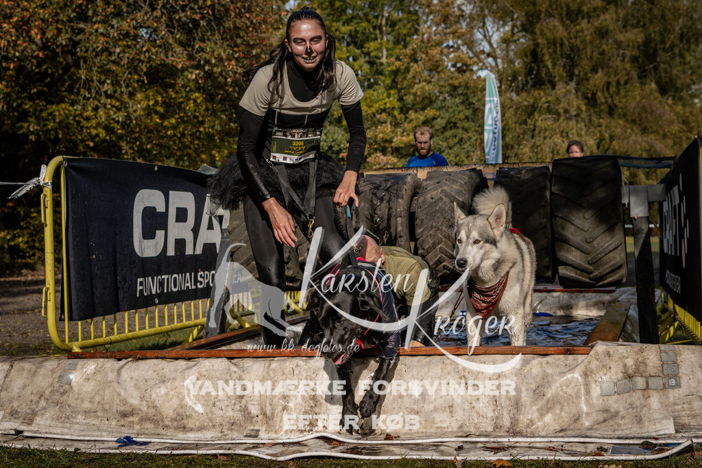 1302_ZZ91752 | kk-dogfotos