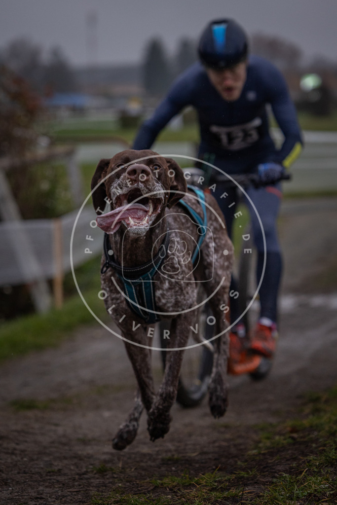CaniXpix_0L8A0477 | Hundefotografie, Tierfotograf, Pfotenfotografie, Fotoshooting Hund, Hunde Portrait, Hundesport, Hundeportraits, Heideshooting, Hunde, Sportfotograf, Hundefotograf, Turnierhundsport, THS,  - Realisiert mit Pictrs.com