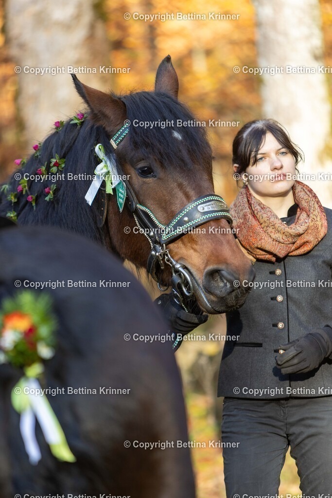 LL24-257 | foto-bettina-krinner - Realisiert mit Pictrs.com