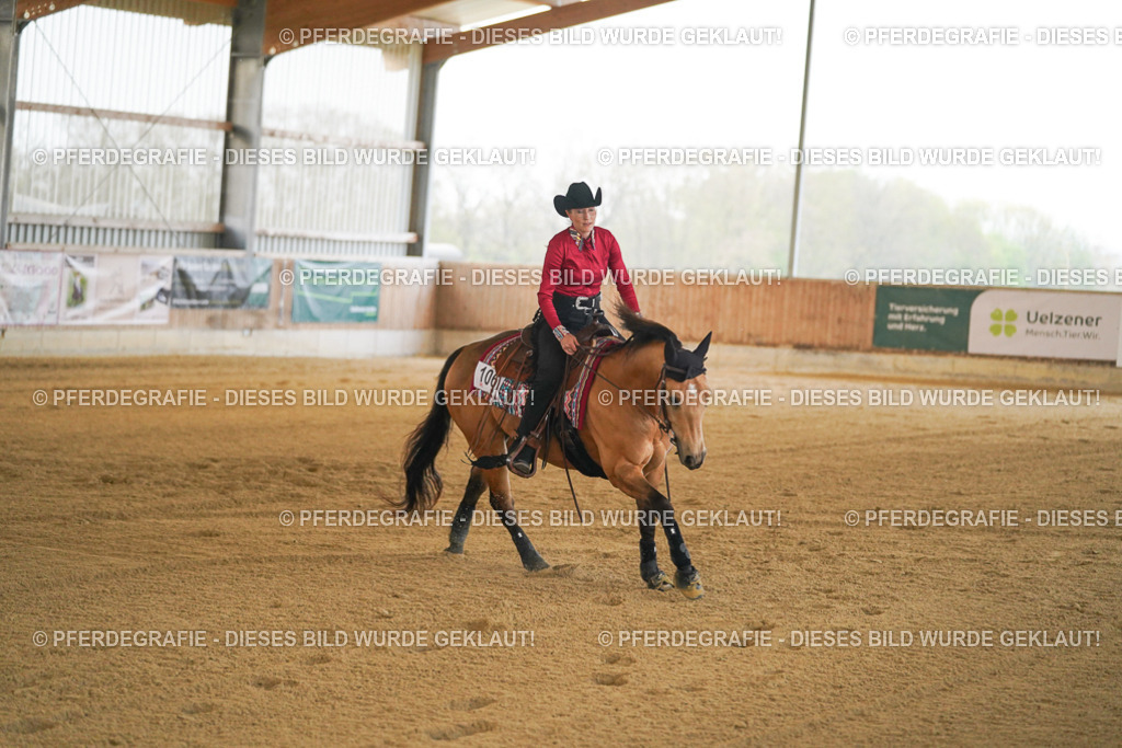 DSC08547 | Pferdegrafie