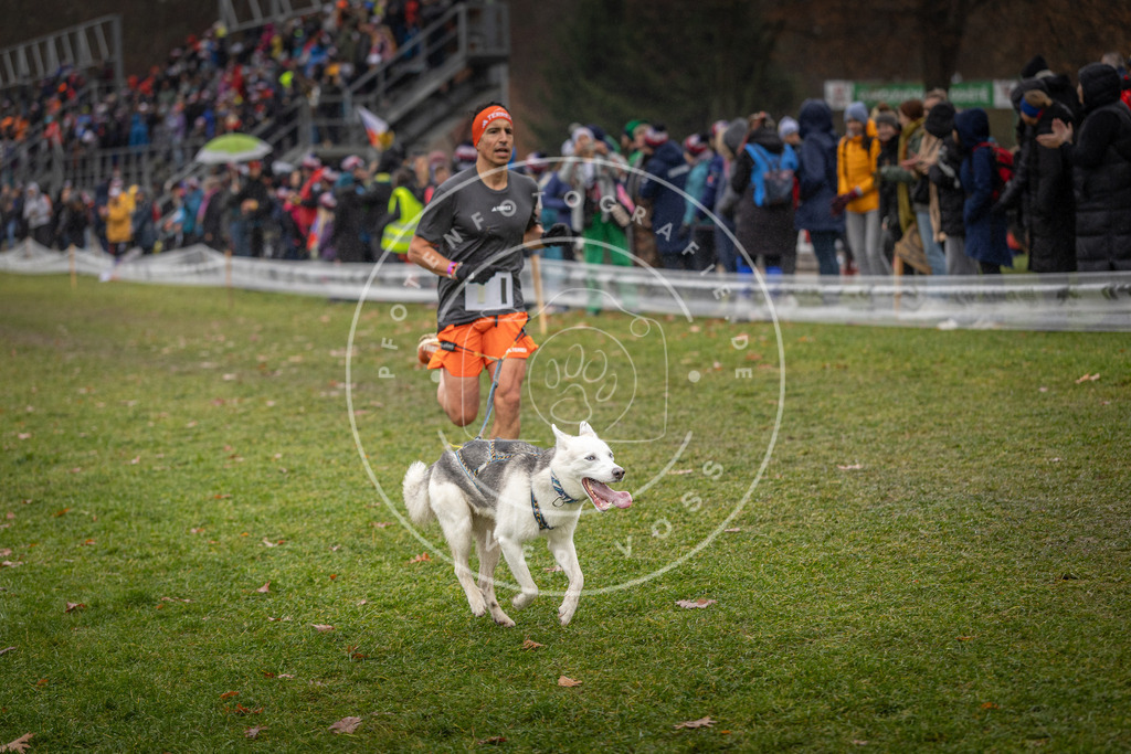 CaniXpix_DV3A9981 | Hundefotografie, Tierfotograf, Pfotenfotografie, Fotoshooting Hund, Hunde Portrait, Hundesport, Hundeportraits, Heideshooting, Hunde, Sportfotograf, Hundefotograf, Turnierhundsport, THS,  - Realisiert mit Pictrs.com