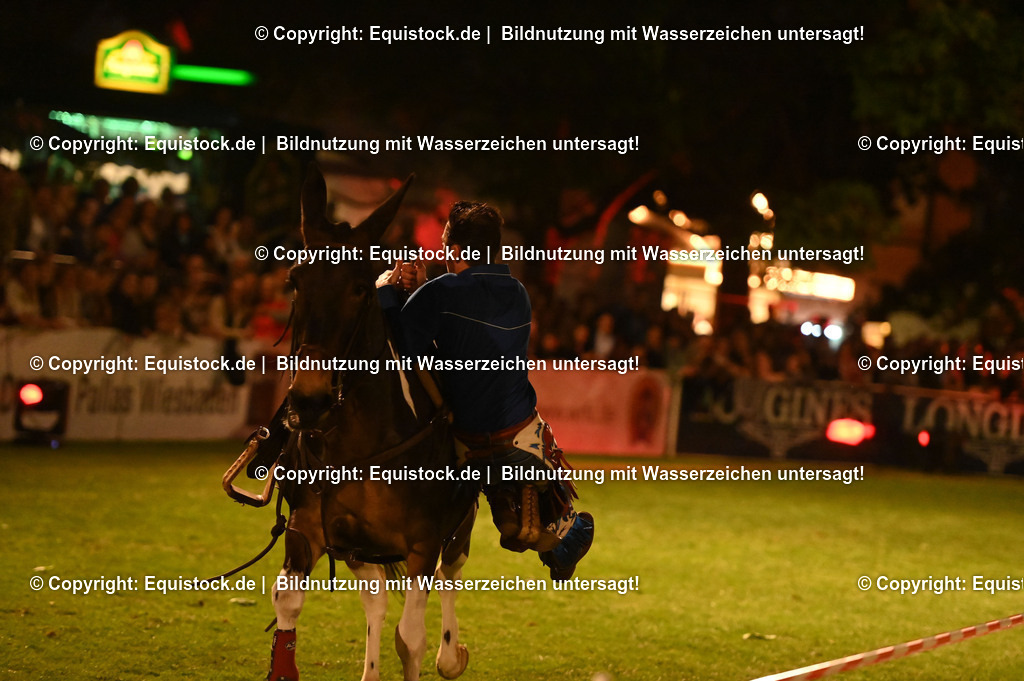 20230526_Pferdenacht_1218 | equistock