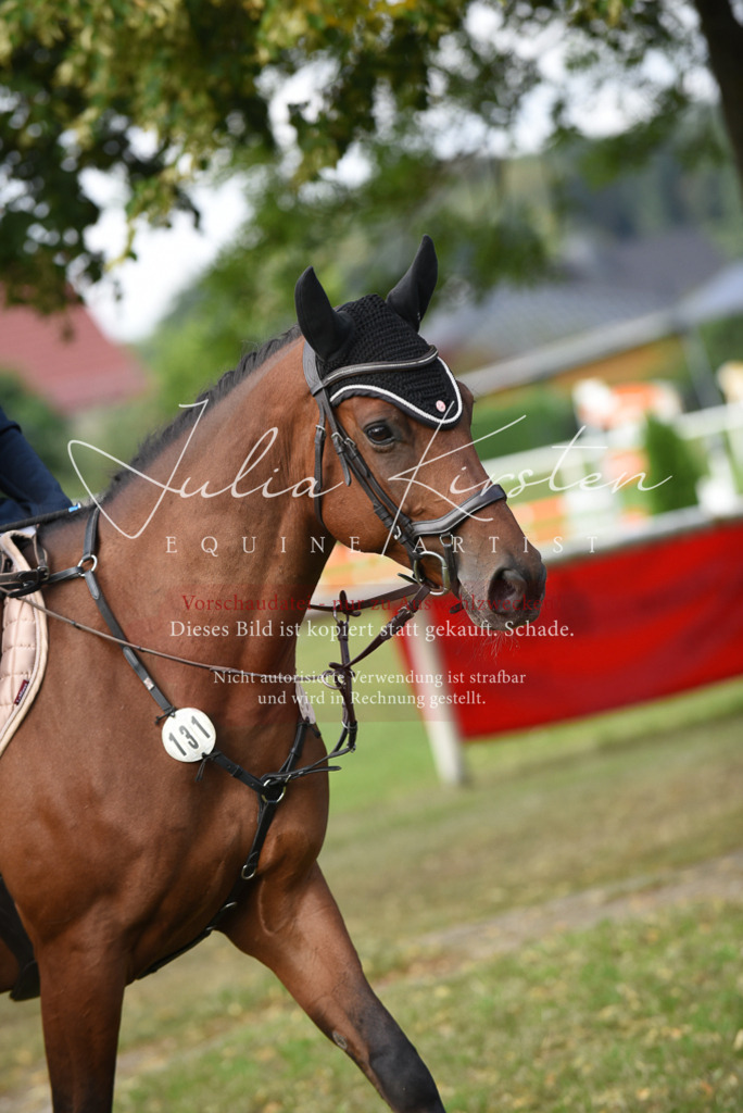 DSC_8621 | Pferde- und Turnierfotografie in Westsachsen. Pferdeportraits, Auftragszeichnungen und intuitive Kunst.