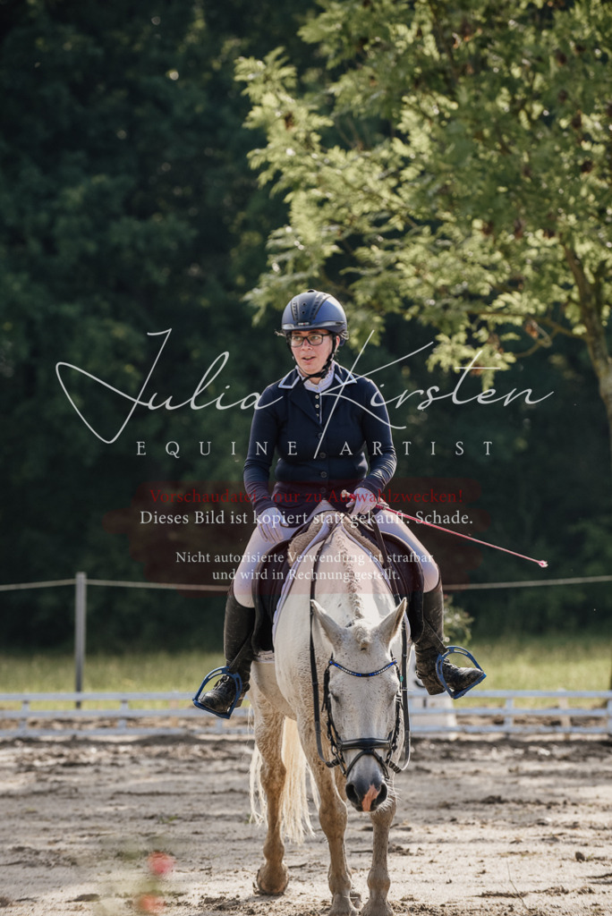DSC_8072 | Pferde- und Turnierfotografie in Westsachsen. Pferdeportraits, Auftragszeichnungen und intuitive Kunst.