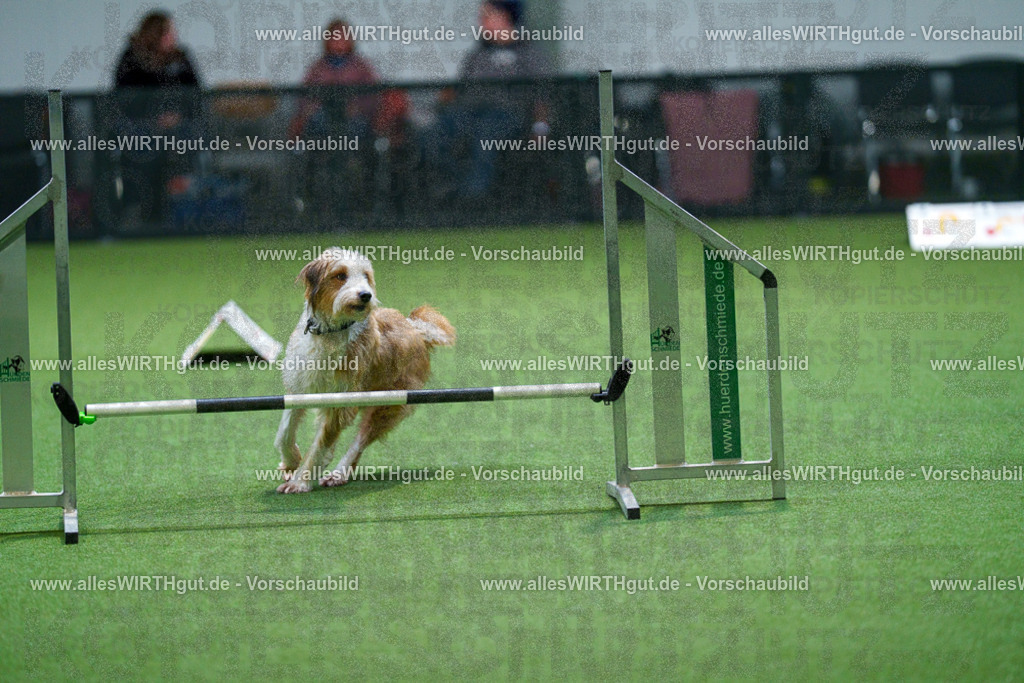 7R503379 | Professionelle Tierfotografie in Mönchengladbach von Daniel Wirth (allesWIRTHgut). Liebevolle & natürliche Bilder von Hunden & Katzen für unvergessliche Erinnerungen.