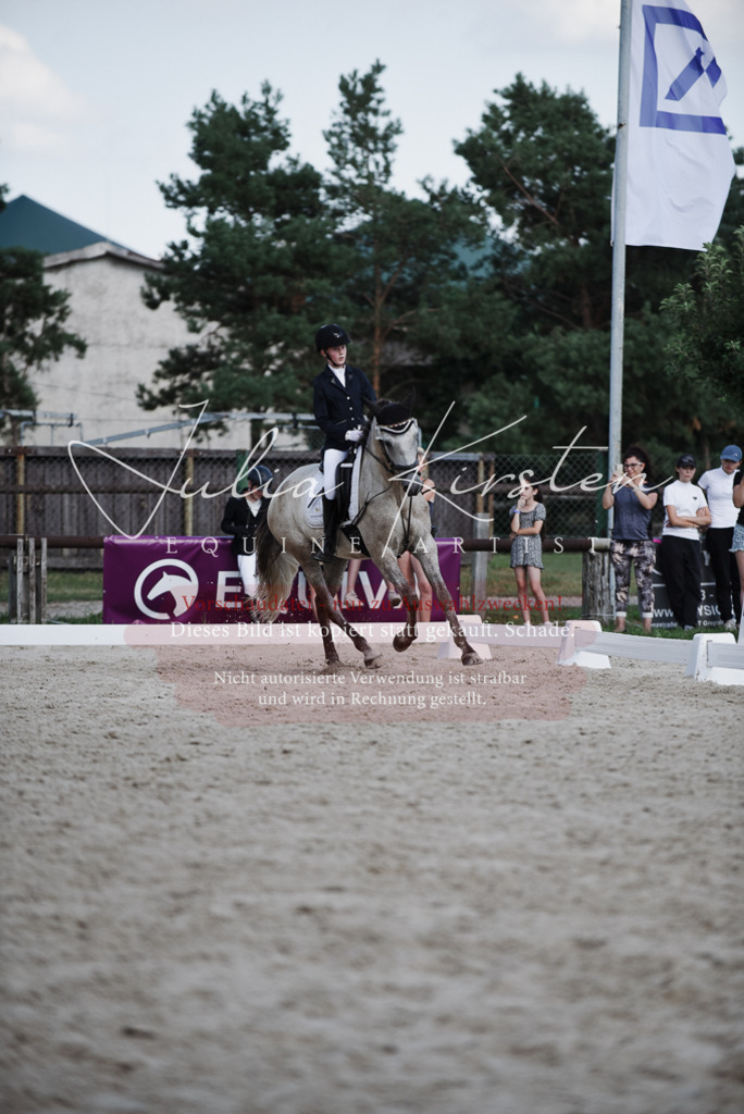 DSC_9955 | Pferde- und Turnierfotografie in Westsachsen. Pferdeportraits, Auftragszeichnungen und intuitive Kunst.