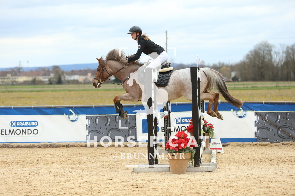 DL2Q2608 | Willkommen bei Brunnmayr - Design & Fotografie – Ihrem Spezialisten für Reitturniere und Pferdeveranstaltungen in Oberösterreich, Salzburg und Bayern! Seit über 17 Jahren sind wir leidenschaftlich dabei.