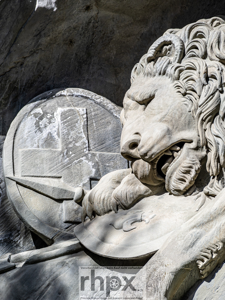 Löwendenkmal Luzern – Detailaufnahme | Detailaufnahme des berühmten Löwendenkmals in Luzern. - Realisiert mit Pictrs.com