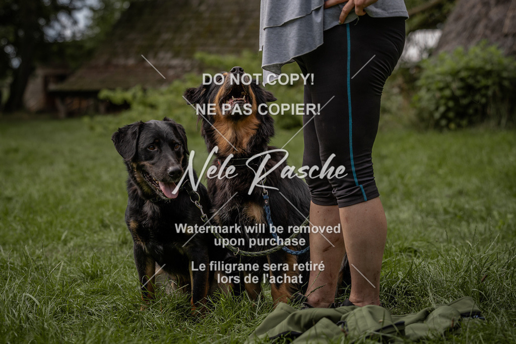 nelerasche_DoN_89 | nelerasche
