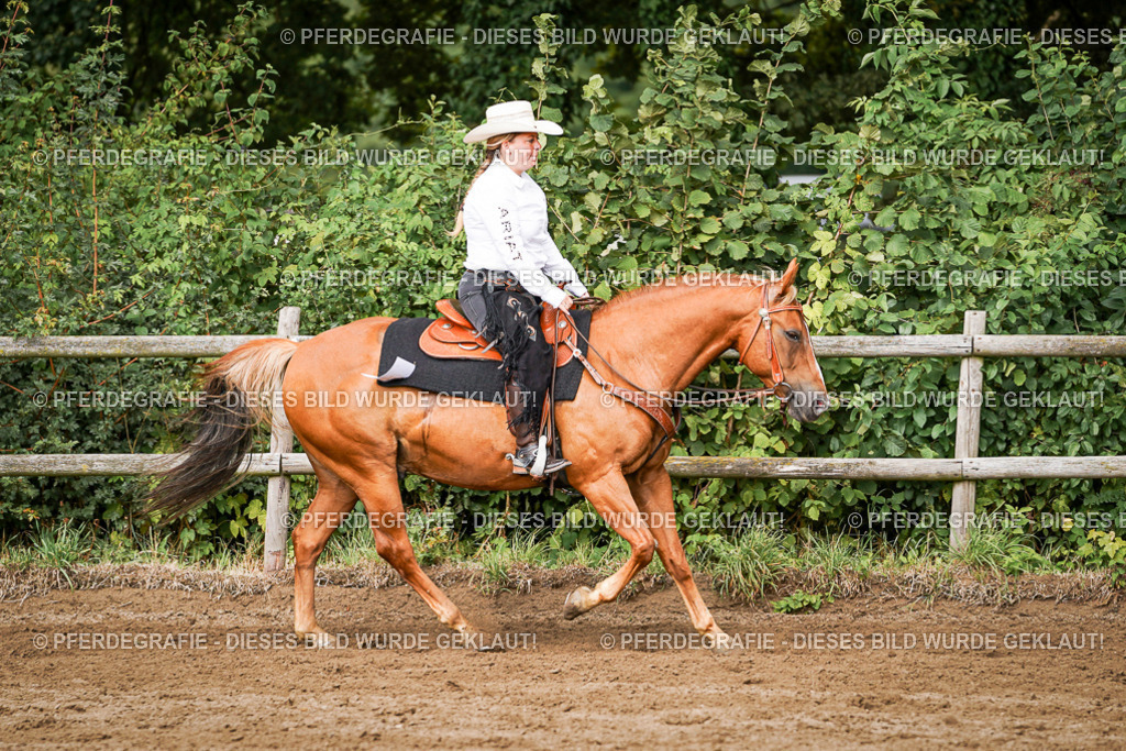 DSC09118 | Pferdegrafie