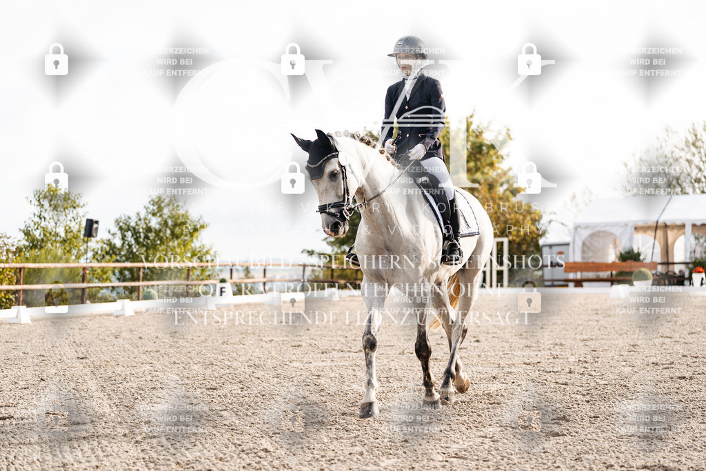 CK900489 | Turnierfotografie Pferdefotografie Trier Rheinland-Pfalz Pferdesport Reitsport Tierfotografie Sportfotografie Pferdevideo Pferdevideografie Equestrianvideography equestrianphotography  - Realisiert mit Pictrs.com