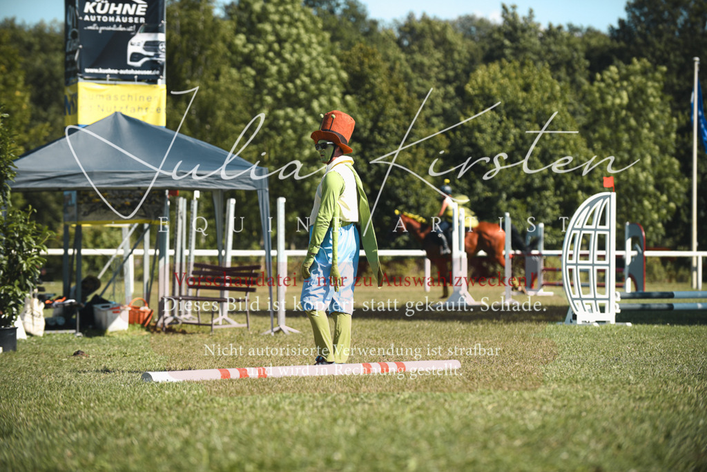 DSC_7487 | Pferde- und Turnierfotografie in Westsachsen. Pferdeportraits, Auftragszeichnungen und intuitive Kunst.