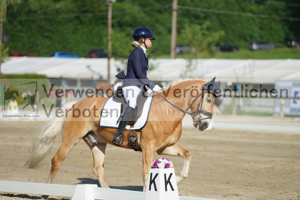 DSC04110 | equestrian-live-com