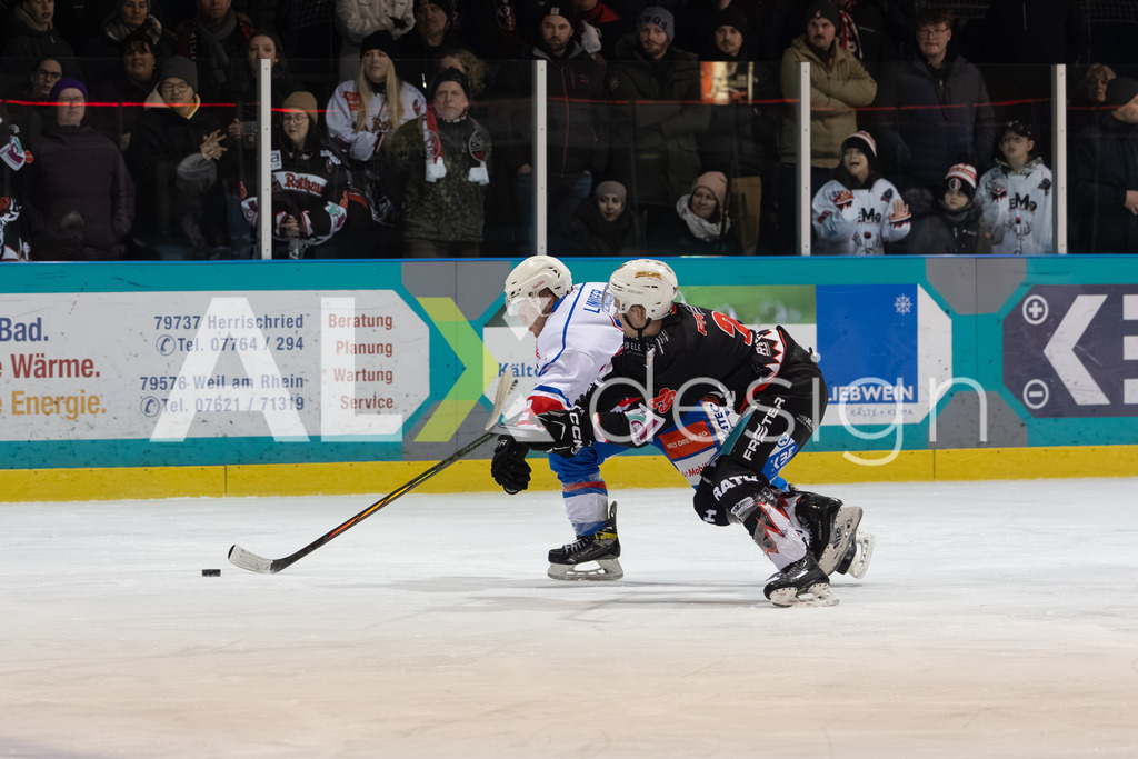Eishockey I Herren I Saison 2025-2026 I Regio League | 3. Liga Regular Season Gr. 1 ZS | Men I 17. Spieltag I EHC Herrischried - HC Wohlen Freiamt I 01.02.2026 | Hochwertige Sportfotos kaufen & lizenzieren für Medien, Vereine, Agenturen & Sportler:innen. Entdecke professionelle Sportfotografie im Bildshop von Alexander Franzen. - Realisiert mit Pictrs.com