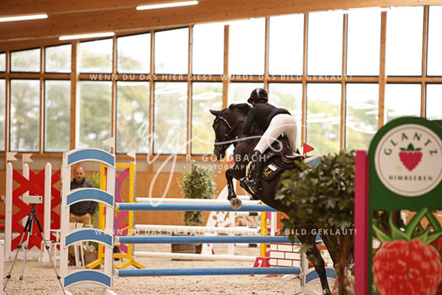 1J2A7712Leni Pell_ Emilie H_ Kn244_ Glantz_ Hohen Wieschendorf | Foto- und Videografie für alles rund ums Pferd. Hochwertige Bilder und Videos vom Spring- und Dressurreiten, Voltigieren & mehr. Jetzt aktuelle Veranstaltungen und Preise im Shop ansehen. - Realisiert mit Pictrs.com