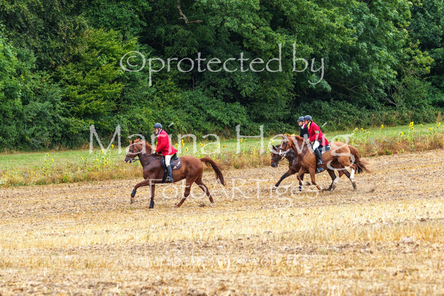 Jagd Knoop 26_MarinaHewigMCH02256 | Fotografie, FotoArt, PferdesportArt, Pferdesportfotografie, Landschaftsfotografie, Reisefotografie, Reise, Pferde - Realisiert mit Pictrs.com