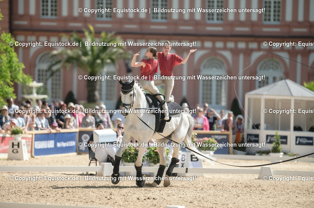 20230528_Voltigieren_NASPA_0323 | equistock