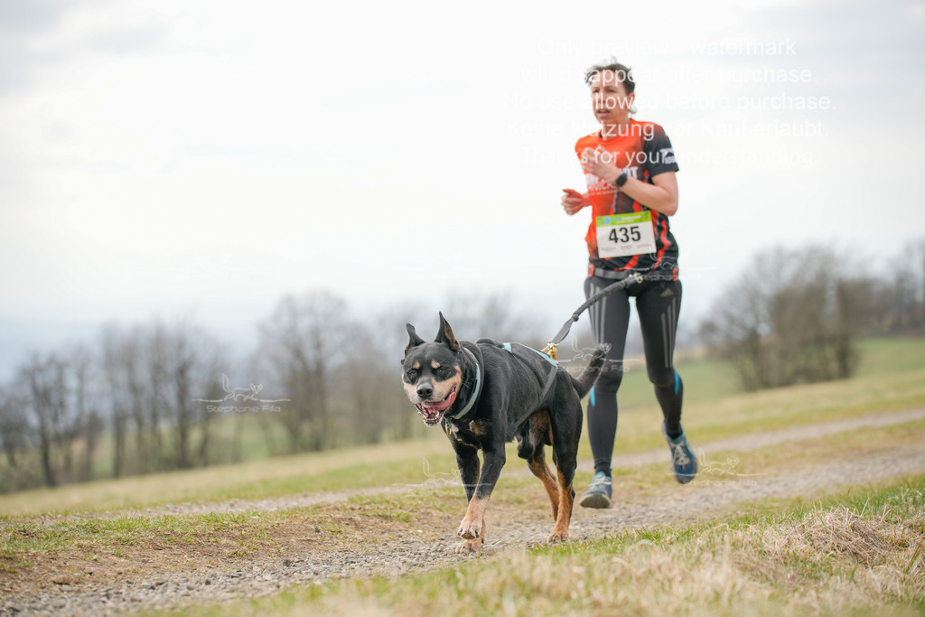 CaniXRunSA-182 | stephaniefillaphotographie - Realisiert mit Pictrs.com