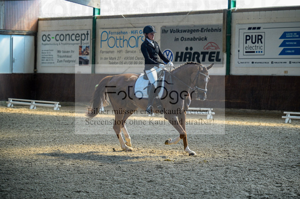 Reitturnier Voxtrup | Entdecke hochwertige Reitturnierfotos von Foto Oger. Professionell, emotional und authentisch – jetzt Lieblingsmomente im Shop bestellen.Deutschlandweite Turnierfotografie. - Realisiert mit Pictrs.com