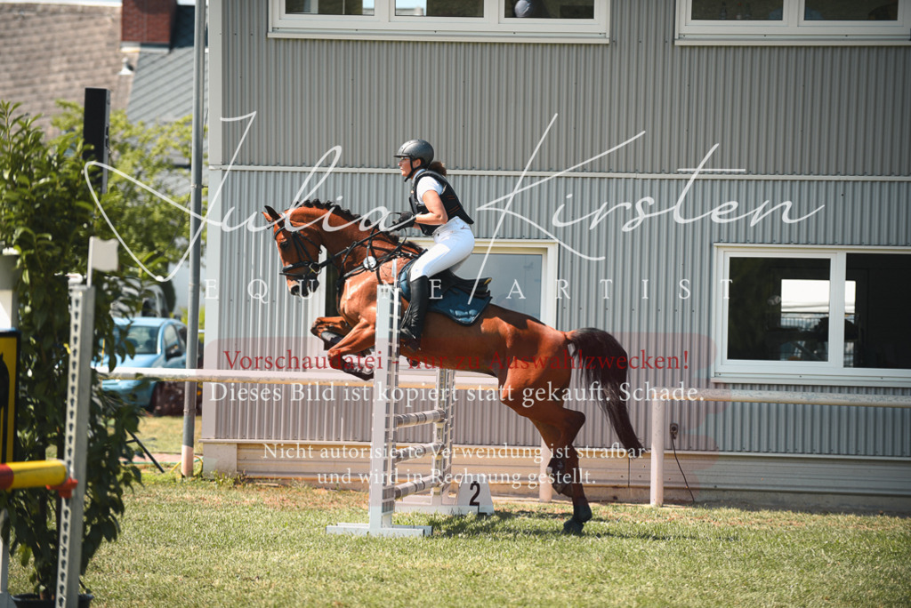 DSC_6595 | Pferde- und Turnierfotografie in Westsachsen. Pferdeportraits, Auftragszeichnungen und intuitive Kunst.