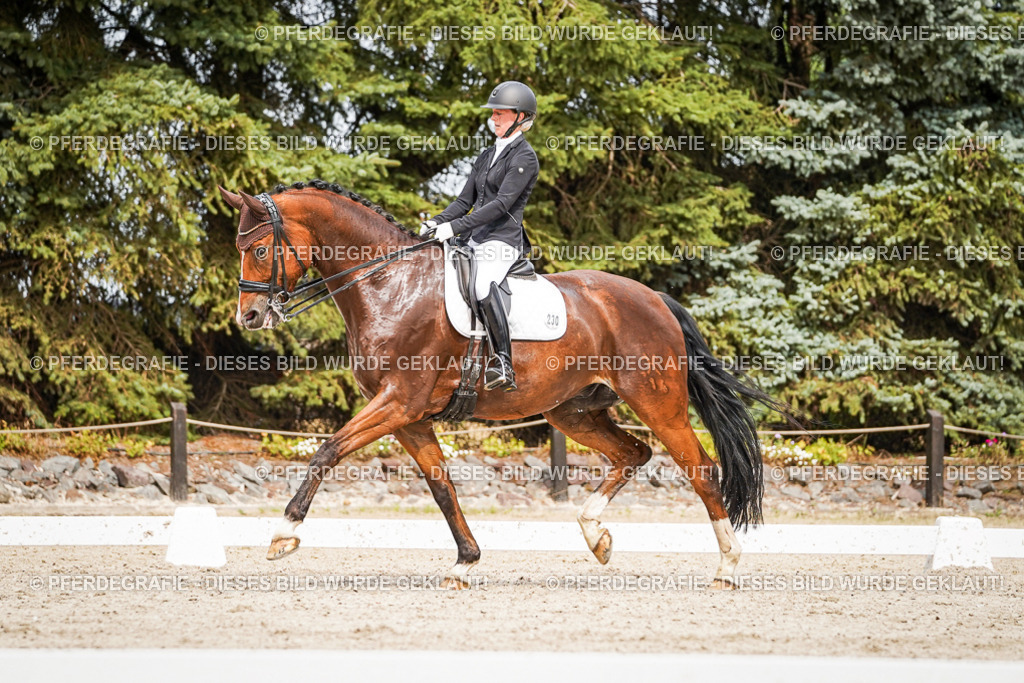 DSC06516 | Pferdegrafie