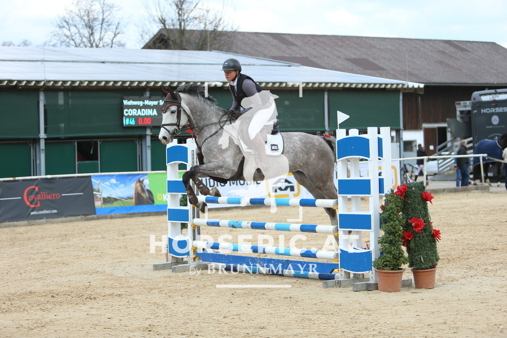 DL2Q9358 | Willkommen bei Brunnmayr - Design & Fotografie – Ihrem Spezialisten für Reitturniere und Pferdeveranstaltungen in Oberösterreich, Salzburg und Bayern! Seit über 17 Jahren sind wir leidenschaftlich dabei.
